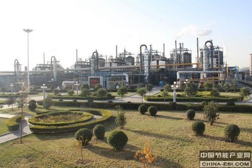 ���Ǻ�è̿����������